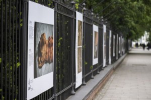 Wystawa fotografii naukowej w galerii plenerowej Łazienek Królewskich