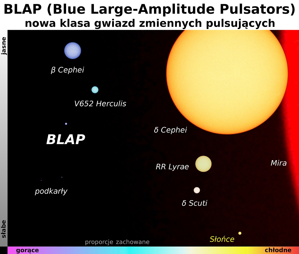 blap_ogle_oauw