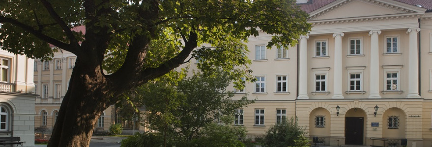 Klon jawor stojący przed Wydziałem Polonistyki to jedno z największych uniwersyteckich drzew. Mierzy 22 metry, a w obwodzie ma 85 cm. Fot. M. Kaźmierczak
