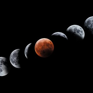 Kolejne fazy zaćmienia Księżyca w roku 2003.
Źródło: J.C. Casado / starryearth.com

