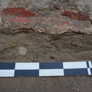 Bordiury odkryte w czasie wykopalisk w Novae. Fot. M. Lemke.