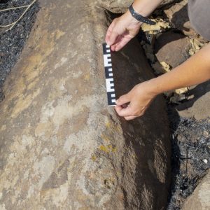 Głaz z rytem przedstawiającym węża znaleziony w pobliżu grobowca megalitycznego z wczesnego brązu I (3600-2800 p.n.e.). Fot. G. Rzeźnik