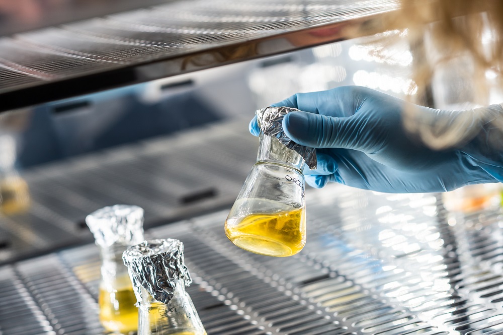 Prof. Paweł Majewski z grantem NCN