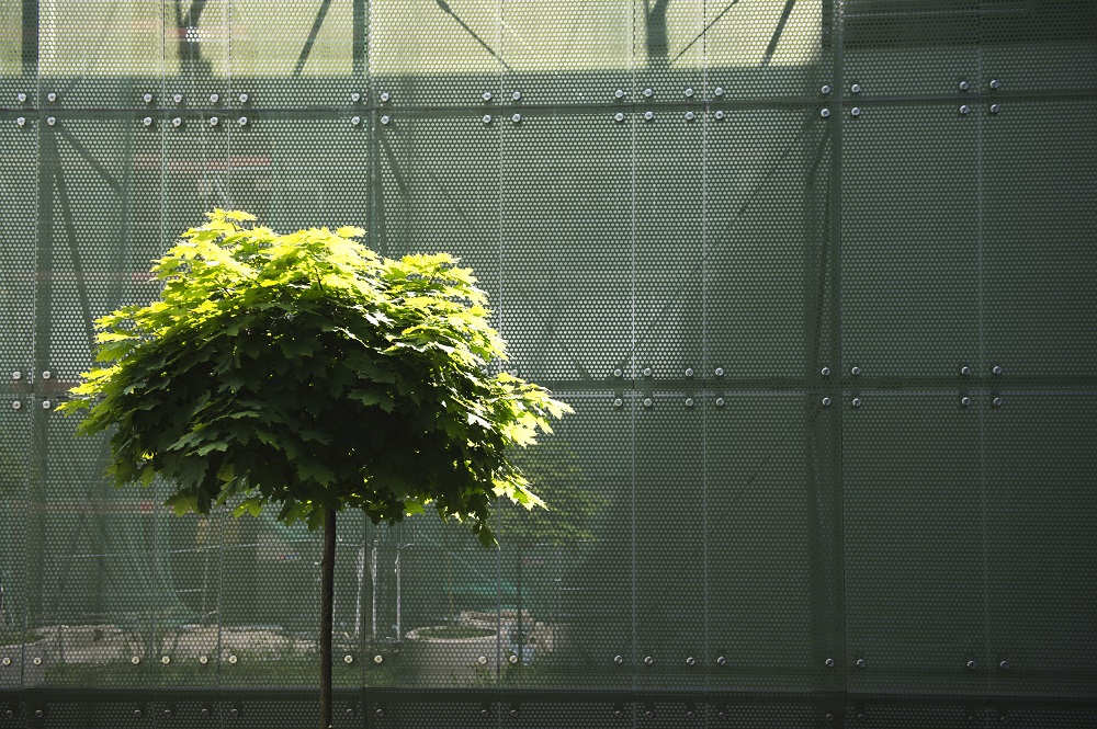 Nagrody Prezesa Rady Ministrów dla badaczy z UW