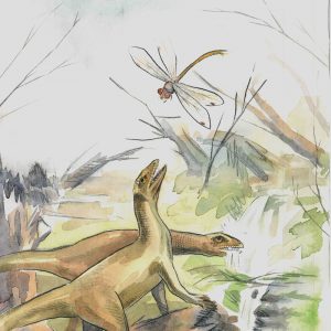 Silesaurus, rys. Małgorzata Czaja.