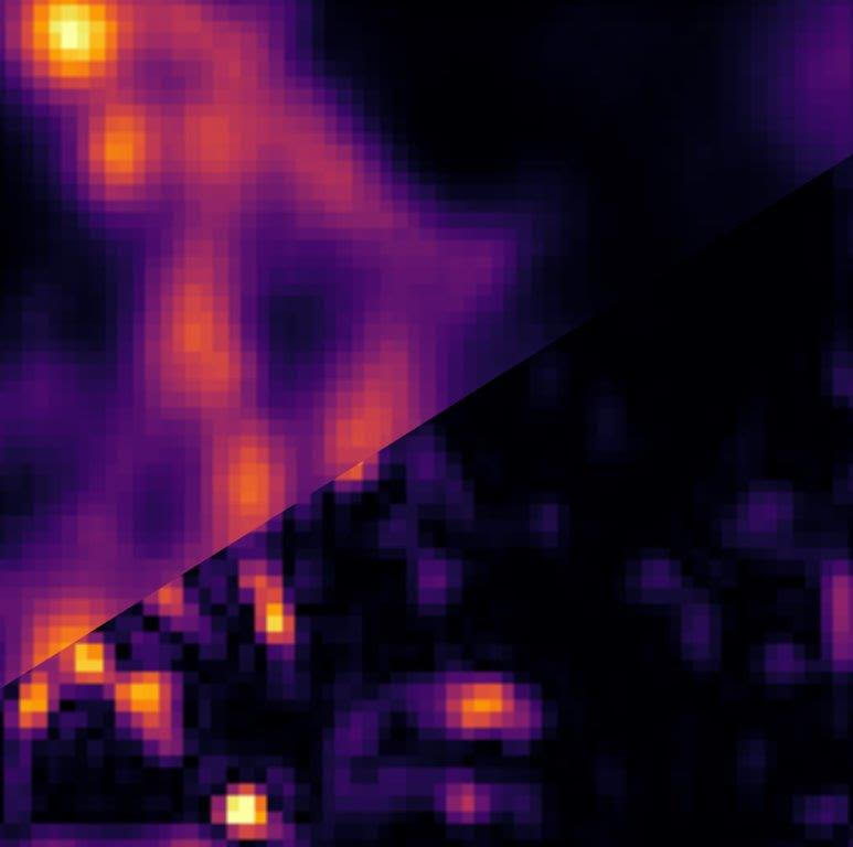 Obraz mikrotubul w utrwalonej próbce komórek 3T3 barwionej kropkami kwantowymi. Dane zostały przeanalizowane na dwa sposoby. Lewa górna strona:  image scanning microscopy (ISM), prawa dolna strona:  super-resolution optical fluctuation image scanning microscopy (SOFISM). Źródło: Wydział Fizyki UW.