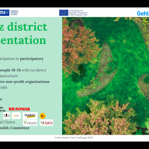 Prezentacja zespołu UW podczas finału Urban Health Case Challenge. Spotkanie online. Organizator: School of Global Health i Sojusz 4EU+.