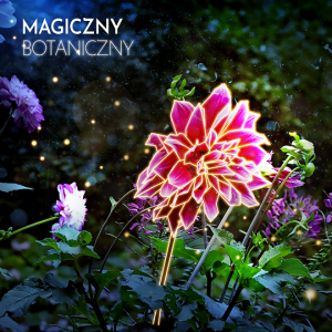 Wystawa „Magiczny Botaniczny” w OB UW.