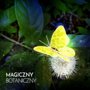 Wystawa „Magiczny Botaniczny” w OB UW.