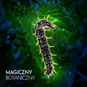 Wystawa „Magiczny Botaniczny” w OB UW.