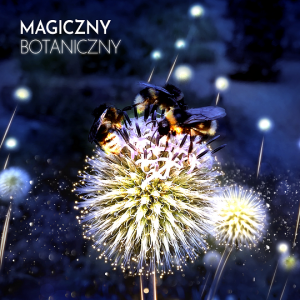 Wystawa „Magiczny Botaniczny” w OB UW.