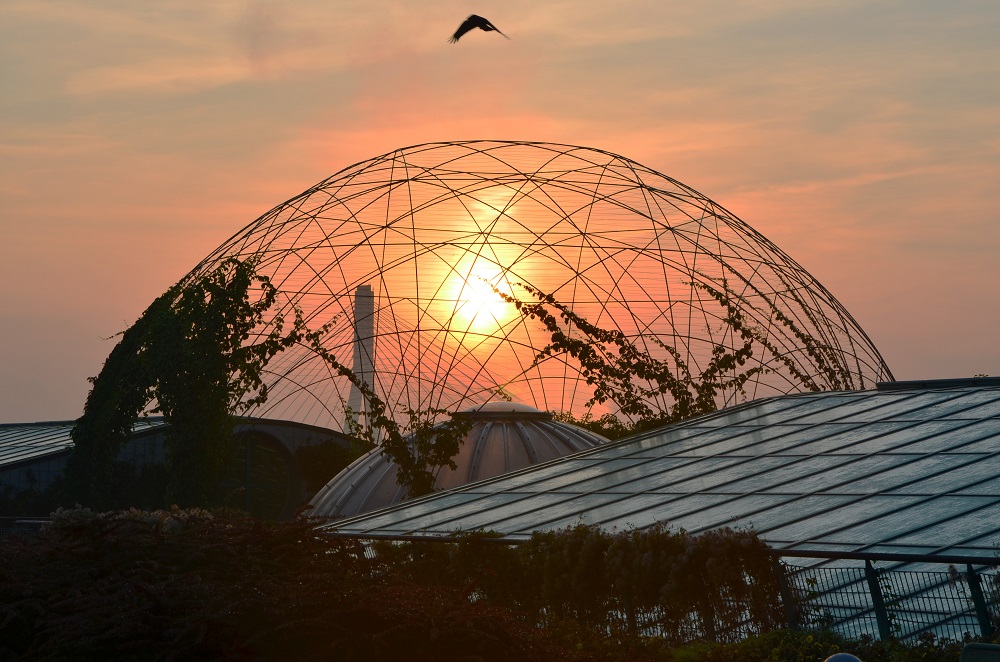 Rytm okołodobowy a mózg człowieka
