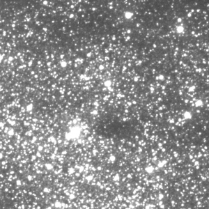 Jeden z pierwszych obrazów centrum Galaktyki uzyskany po wznowieniu obserwacji w Las Campanas, Chile. Źródło: Obserwatorium Astronomiczne UW.