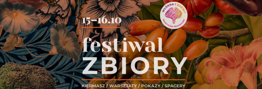 Festiwal "Zbiory"