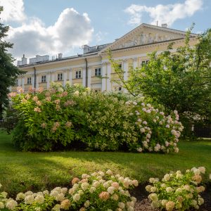 Zieleń na Kampusie Głównym UW przy Krakowskim Przedmieściu. Źródło: Biuro Promocji UW