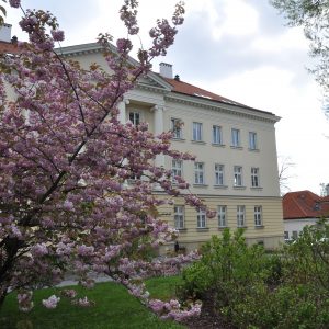 Zieleń na Kampusie Głównym UW przy Krakowskim Przedmieściu. Fot. Joanna Burkot