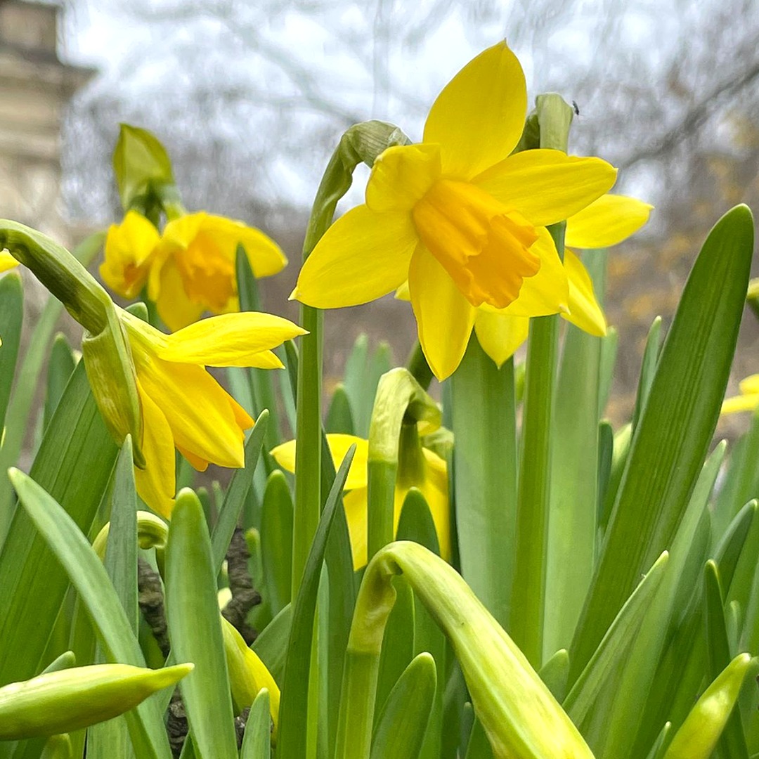 83. rocznica Powstania w Getcie Warszawskim