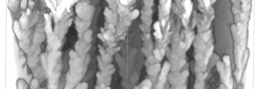 Obraz tomograficzny trójwymiarowych dendrytów manganowych. Źródło: Wydział Geologii Uniwersytetu Wiedeńskiego