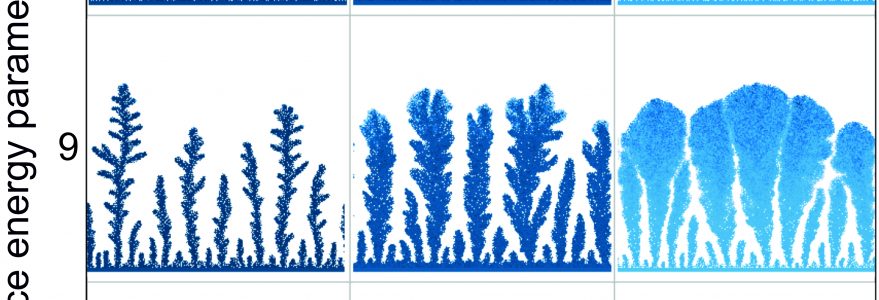 Morfologie dendrytów dla różnych energii powierzchniowych i stężeń jonów manganu. Źródło: Wydział Fizyki Uniwersytetu Warszawskiego