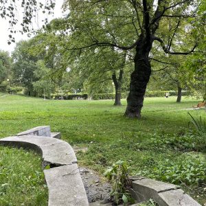 Źródła uniwersyteckie na skarpie Parku Kazimierzowskiego. Fot. Anna Stobiecka/UW