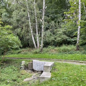 Źródła uniwersyteckie na skarpie Parku Kazimierzowskiego. Fot. Anna Stobiecka/UW