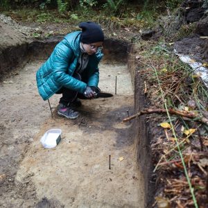 Prace na stanowisku w Puszczy Boreckiej. Źródło: profil fundacji Terra Desolata na Facebooku