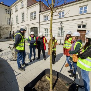 Budowa budynku UW na górnym dziedzińcu kampusu przy Krakowskim Przedmieściu. Fot. UW