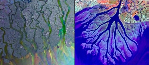 Naukowcy z UW o sieciach transportowych