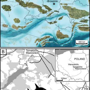Szczątki ryby jurajskiej. Źródło: Daniel Tyborowski/UW