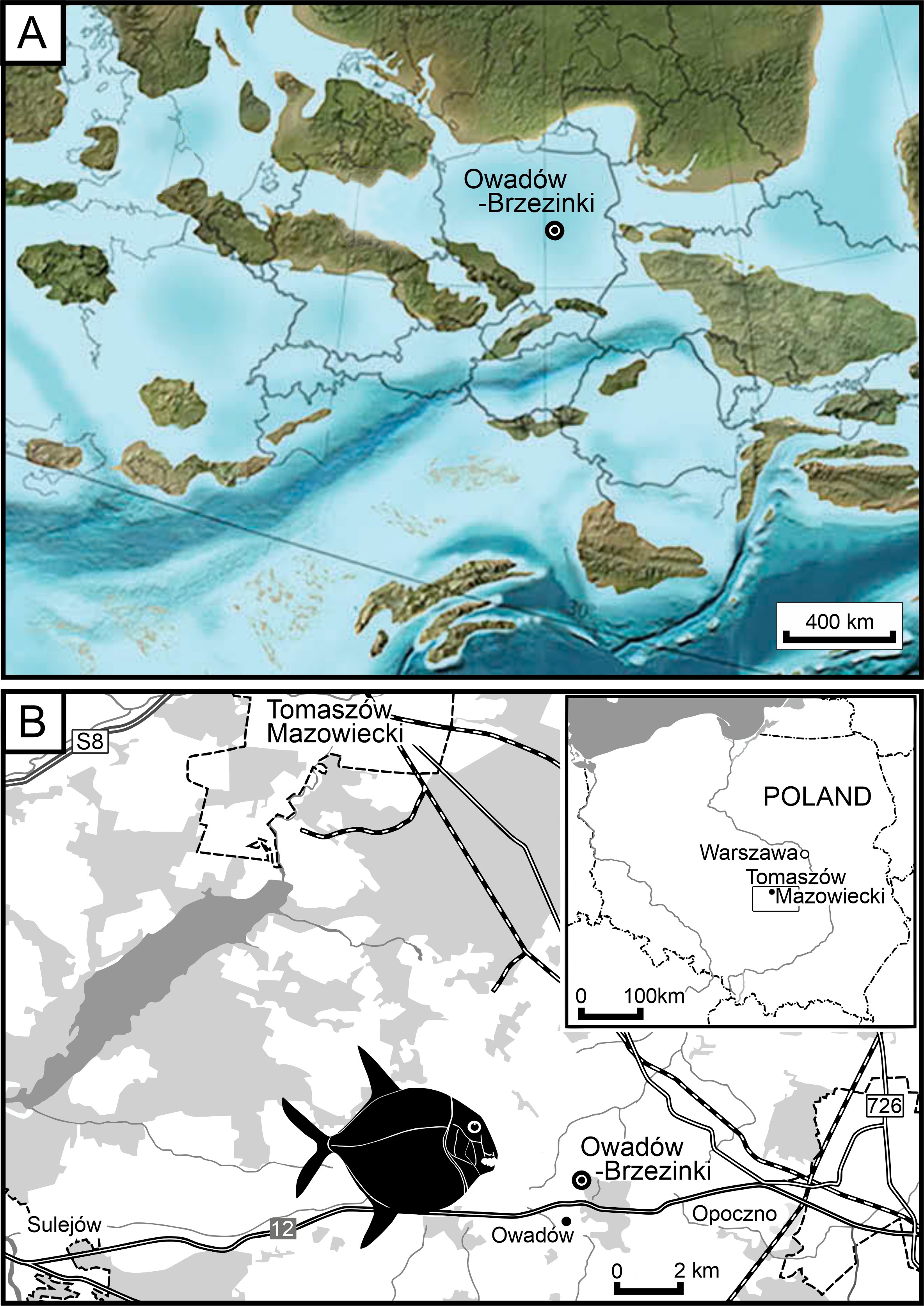 Ryba z ery dinozaurów