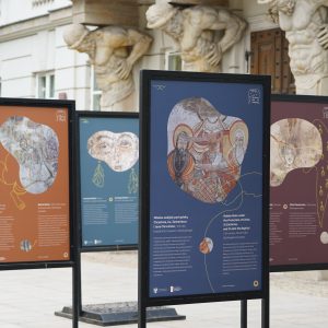 Obchody jubileuszu 60-lecia badań UW w Starej Dongoli. Fot. Mirosław Kaźmierczak/UW