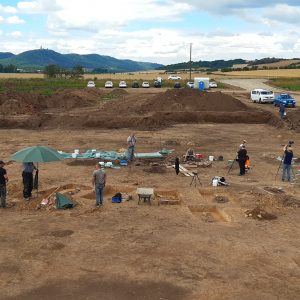 Wykopaliska na przedsłowiańskim cmentarzysku w Brücken, powiat Mansfeld-Südharz (Saksonia-Anhalt), 2020. Źródło: Landesamt für Denkmalpflege und Archäologie Sachsen-Anhalt