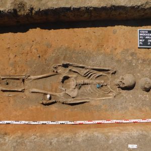Nienaruszone pochówki dorosłej kobiety z markerami genetycznymi wskazującymi na lokalne pochodzenie. Wyposażenie grobu: biżuteria ze szklanych koralików i amulet z muszli kauri na cmentarzu przedsłowiańskim w Brücken, obiekt 13913:29. Źródło: Landesamt für Denkmalpflege und Archäologie Sachsen-Anhalt
