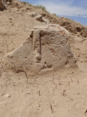 Głowa idola przed jego pełnym odsłonięciem. Fot. Michalina Andrzejewska/CAŚ UW