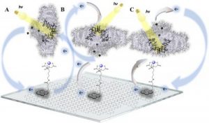 Publikacja w „Advanced Functional Materials”