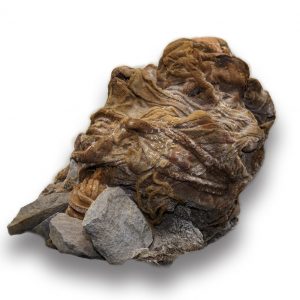 Zdjęcie mumii. Fot. Centrum Badań Andyjskich UW