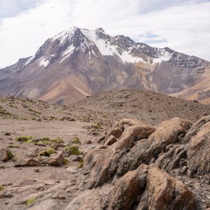 Nokarane. Fot. Centrum Badań Andyjskich UW