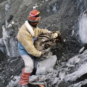 Archiwalne zdjęcia Johana Reinharda