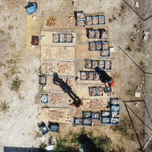 Praca na tzw poletku ceramicznym - Łukasz Bąk/UW