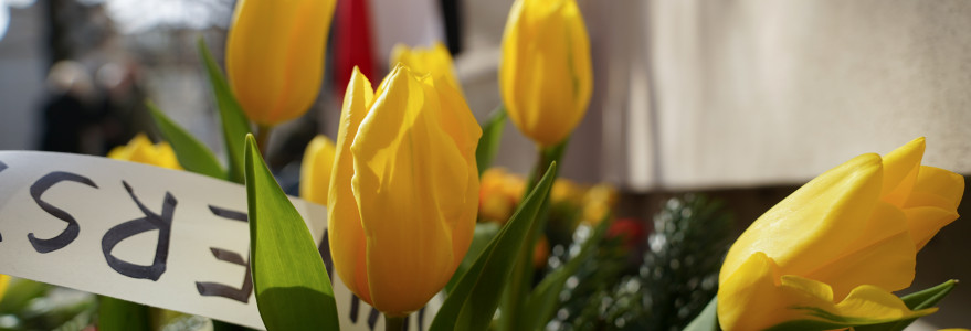 Obchody 58. rocznicy Marca '68 na UW. Fot. Mirosław Kaźmierczak/UW